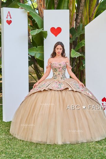 Floral 2 Piece Quinceanera Dress by Ragazza D46-546