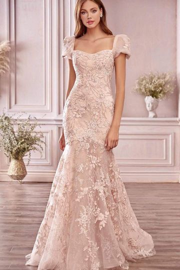Andrea and Leo - Long Embroidered Puff Sleeve Trumpet Gown A1025 - 2 pcs Blush In Sizes 6 and 12 Available