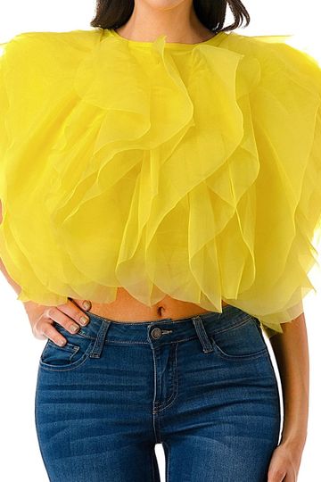Sleeveless Ruffle Tulle Crop Top Blouse
