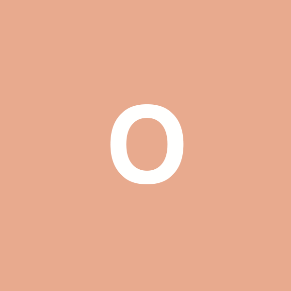 orizabaoriginal.com